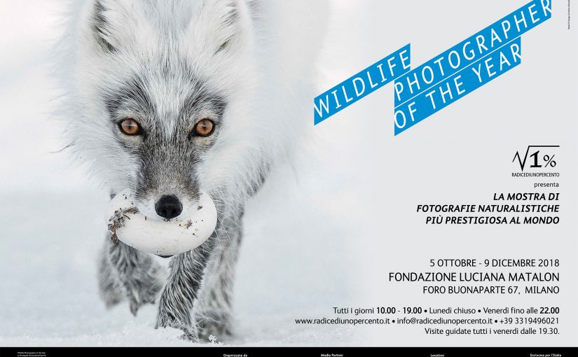 Wildlife Photographer of The Year 53 Torna a  Milano alla Fondazione Luciana Matalon