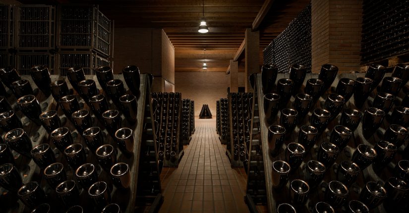 Enoturismo, Ronco Calino riapre le cantine