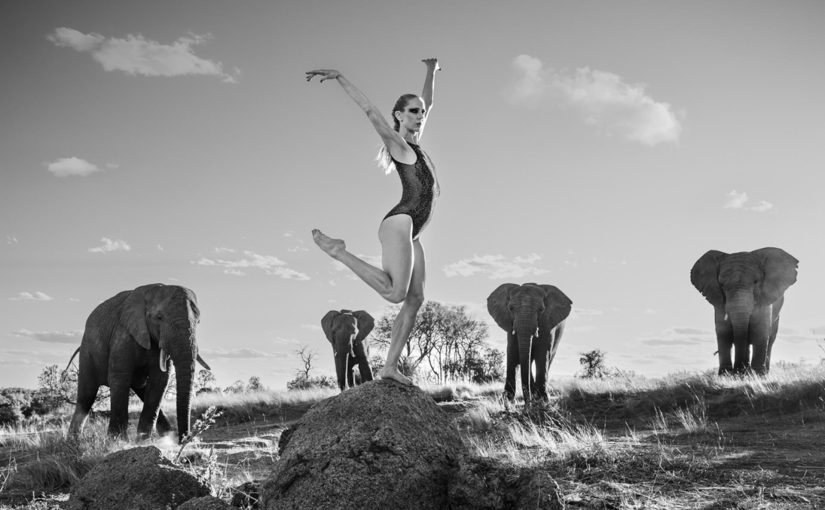 ANIMAN DANCING WITH NATURE  Ruggero Rosfer  Fabbrica Eos  Milano