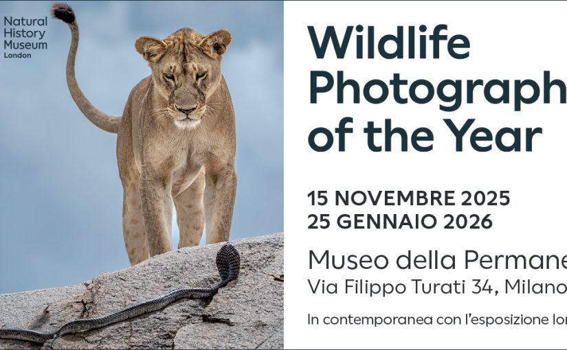 61° Wildlife Photographer of The Year Museo della Permanente Milano