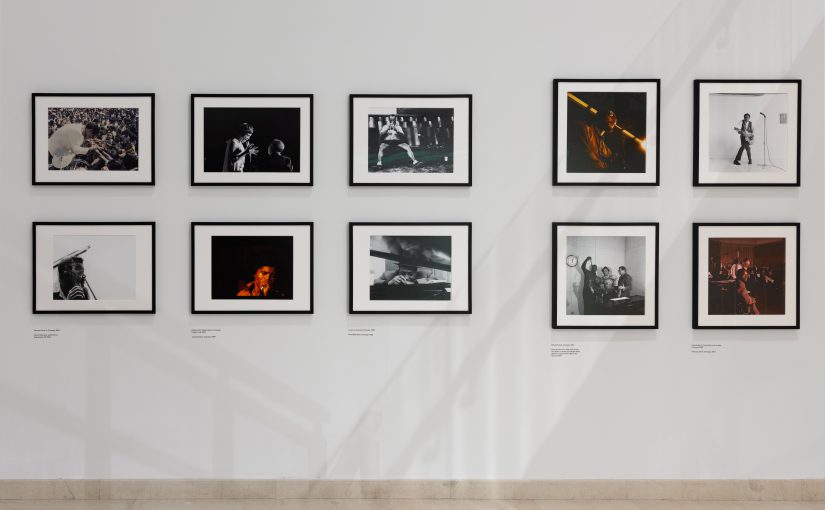 Triennale Milano Don Bronstein